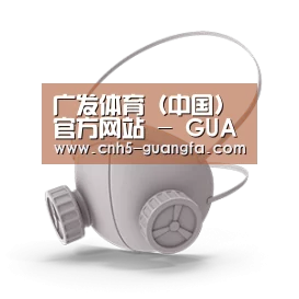 N95 口罩