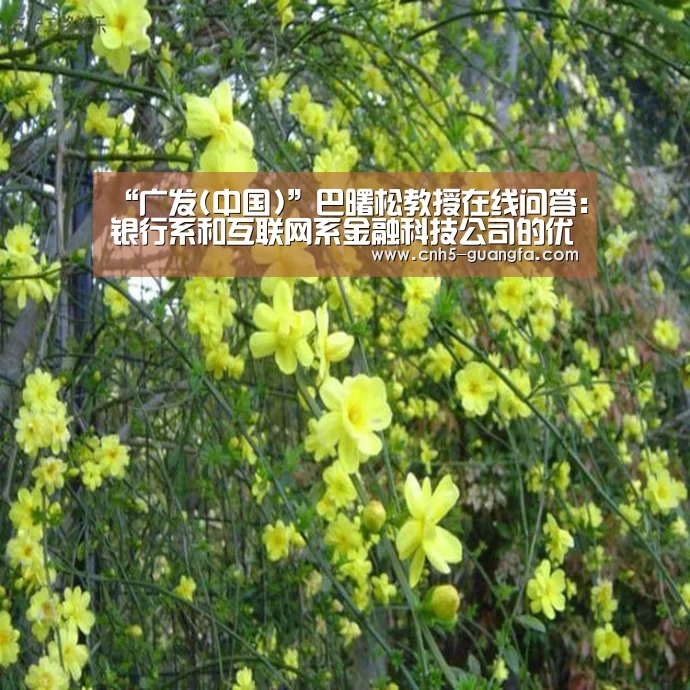 “广发(中国)”巴曙松教授在线问答：银行系和互联网系金融科技公司的优劣势有哪些？