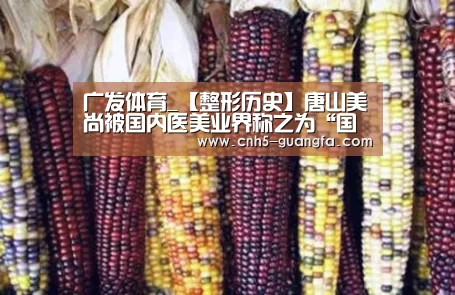 广发体育_【整形历史】唐山美尚被国内医美业界称之为“国内精细整形典范”
