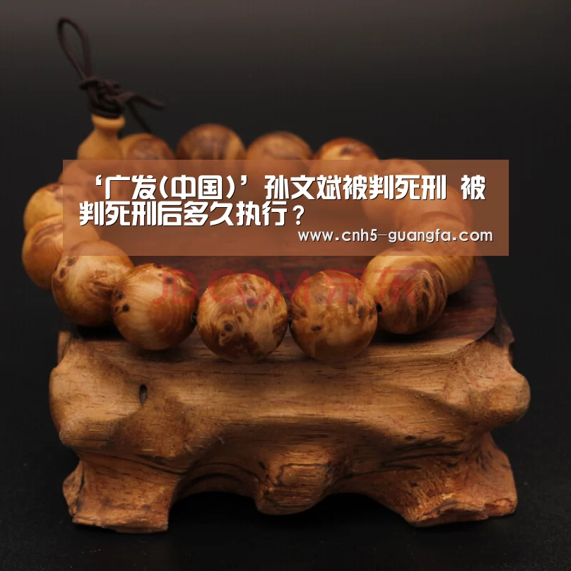 ‘广发(中国)’孙文斌被判死刑 被判死刑后多久执行？