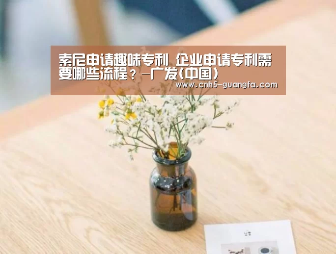 索尼申请趣味专利 企业申请专利需要哪些流程？-广发(中国)